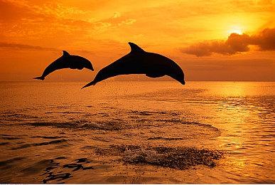 《不予播出》新DLC“生活点滴”发售 国区定价36元