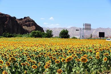 《守望先锋2》星际牛仔联动发布游玩预告演示